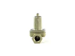 1740.S4341003100 CHECK VALVE