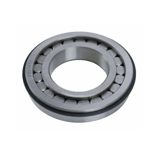 4301417 CYLINDRICAL BEARING