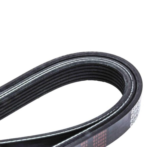 815.28437 BELT