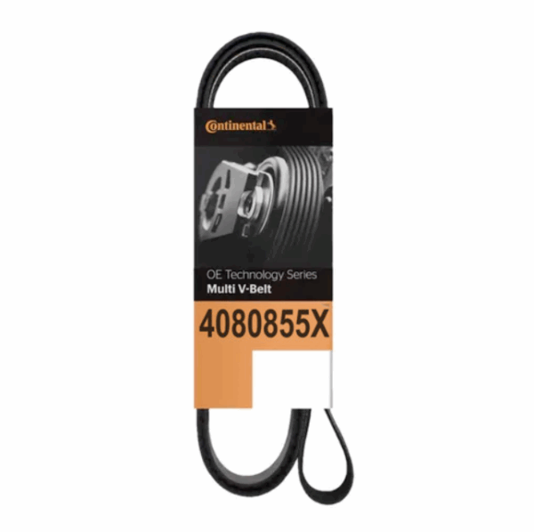 815.4080855X  BELT