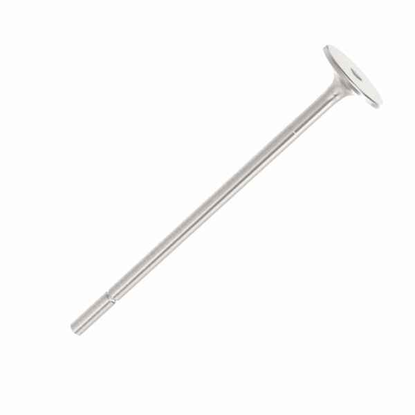 A-A4730500126 INTAKE VALVE