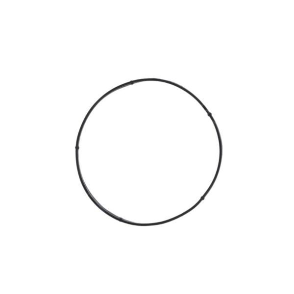 A4722033480 DD15 THERMOSTAT SEAL