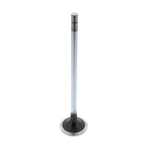M-3685996 INTAKE VALVE
