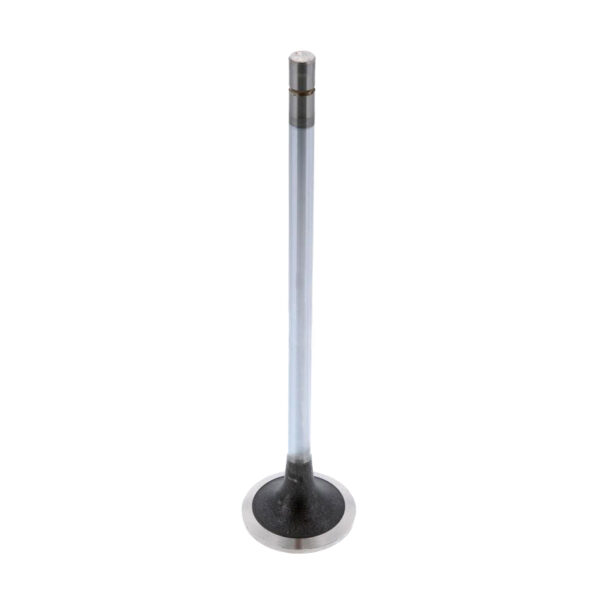 M-3685996 INTAKE VALVE