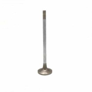 M-3803854 INTAKE VALVE