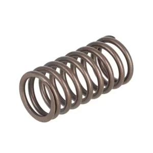 M2479908 VALVE SPRING OUTER
