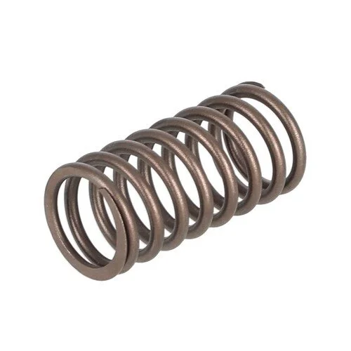 M2479908 VALVE SPRING OUTER