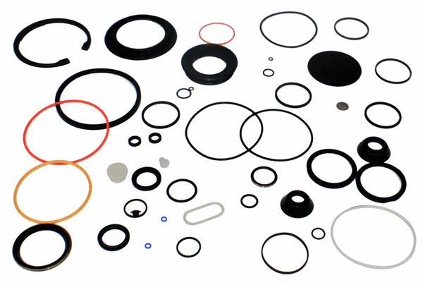 S-21202 COMBINED SEAL KIT