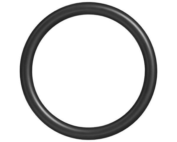 SEAL RING OIL PUMP OUTLET A-23505892